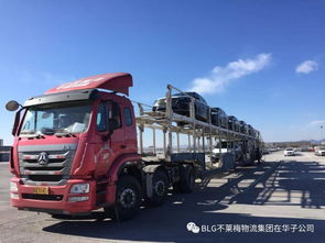 中國物流與采購聯合會汽車物流分會
