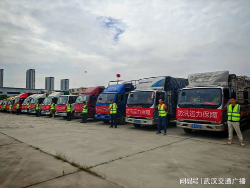 練戰結合 提升新區道路貨運應急運力保障水平